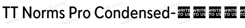 TT Norms Pro Condensed字体转换